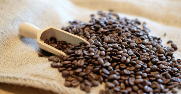 Pangaea Premium Kaffeebohnen – Der Geschmack der Ursprünglichkeit